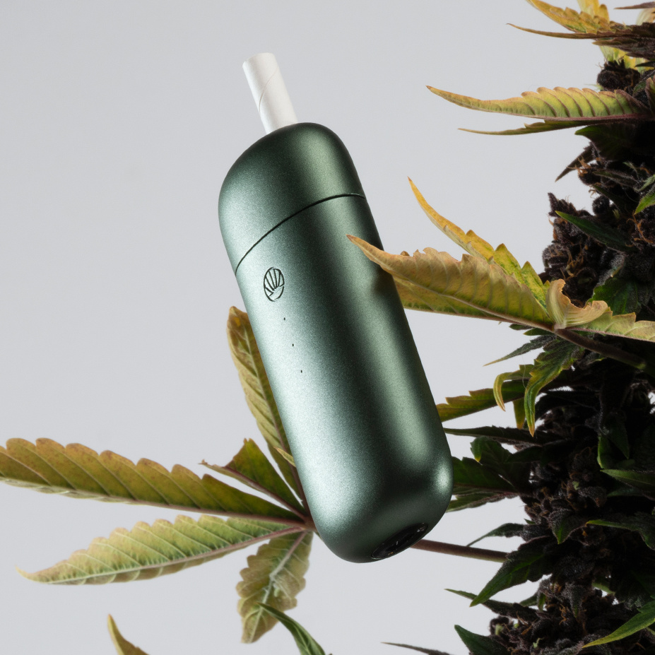 Vaporizer - Verdampfen statt Verbrennen